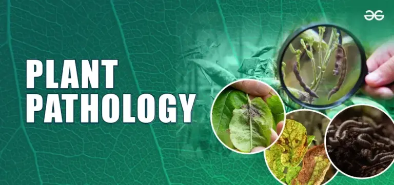 Unraveling the Mysteries: A Comprehensive Guide to Understanding Plant Pathology Basics