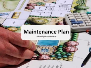 Crafting Thriving Ecosystems: Your Guide to Sustainable Landscape Maintenance Plans
