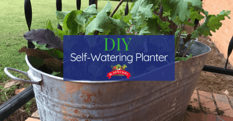 Grow Your Own Oasis: A Comprehensive Guide to Growing Vegetables in Self-Watering Pots