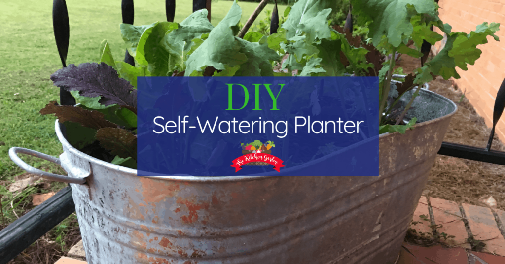 Grow Your Own Oasis: A Comprehensive Guide to Growing Vegetables in Self-Watering Pots