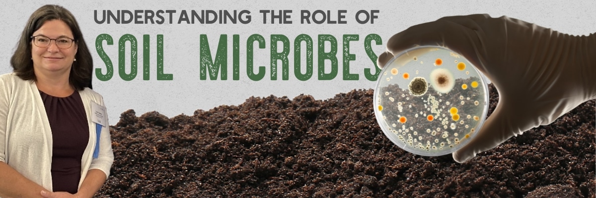 Unearthing the Secrets: A Deep Dive into the Fascinating World of Soil Microbial Life