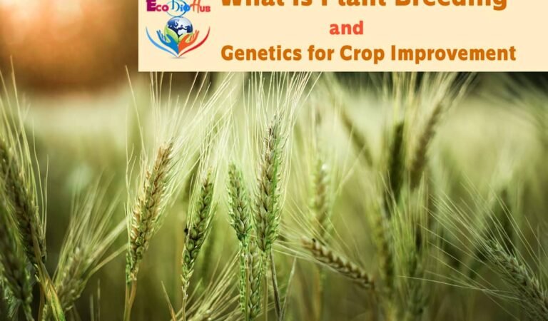 Unlocking Nature’s Secrets: A Comprehensive Guide to Plant Genetics and Breeding