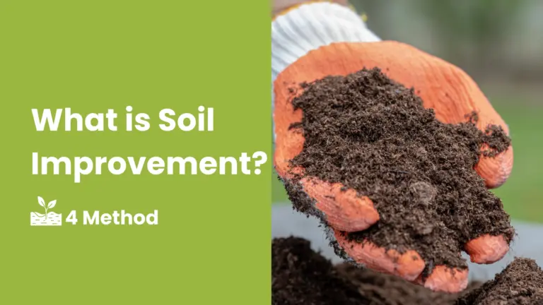 Unlocking Garden Paradise: The Ultimate Guide to Improving Soil Structure