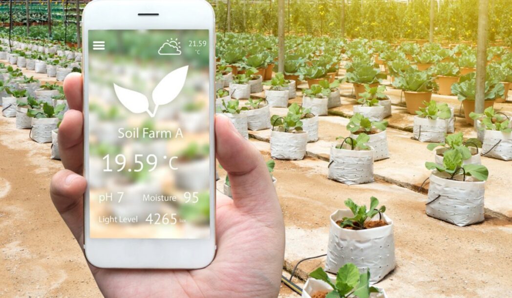 Cultivating Tomorrow: A Comprehensive Guide to Implementing Smart Garden Technology