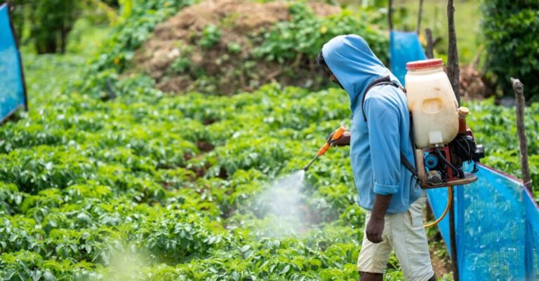 Nourishing Giants: A Comprehensive Guide to Implementing Plant-Based Fertilizers for Thriving Trees