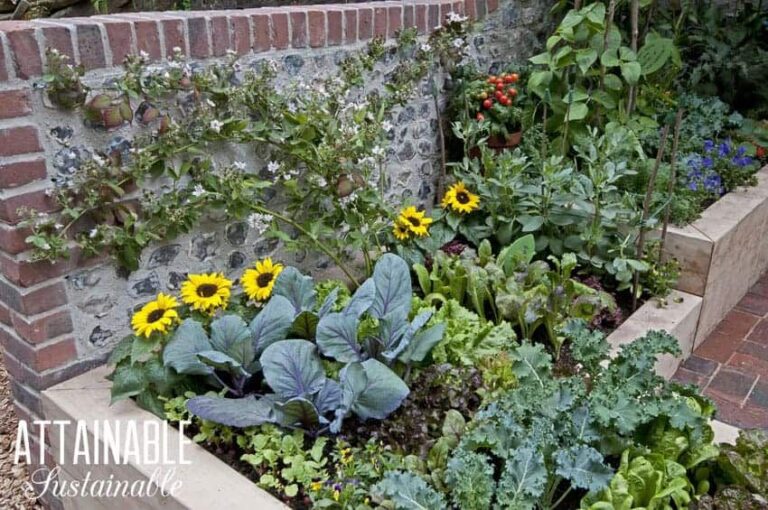 Grow Your Own Paradise: A Guide to Perennial Edible Landscaping for Small Yards