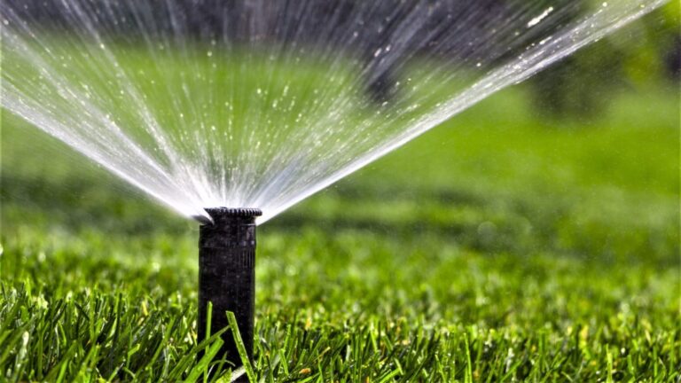 Maximize Your Yield, Minimize Your Water: A Comprehensive Guide to Water-Efficient Irrigation Systems