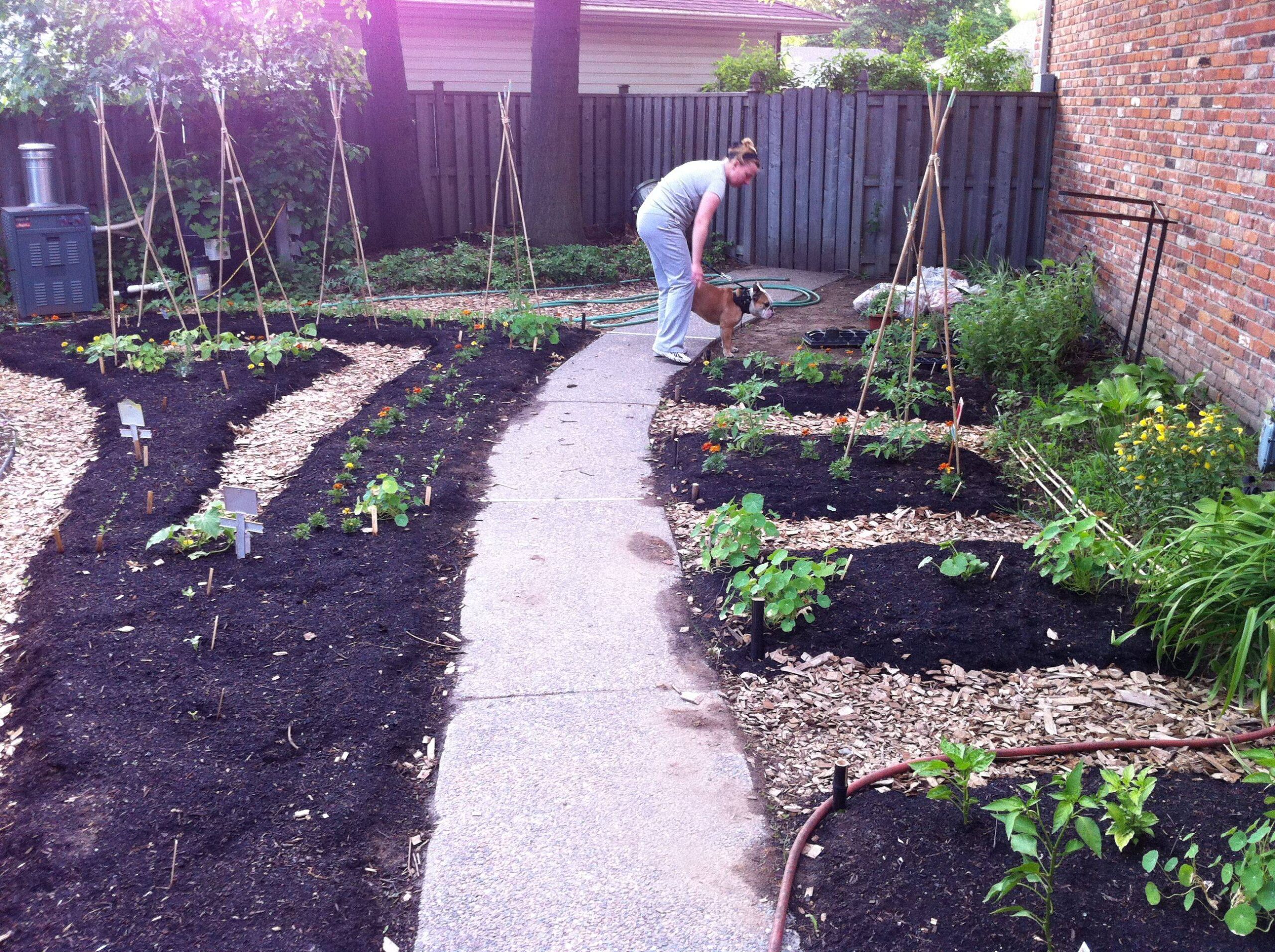 Cultivating a Greener Tomorrow: Your Comprehensive Guide to Sustainable Garden Planning and Design