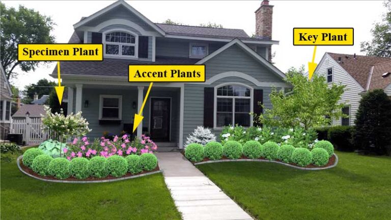 Boost Your Curb Appeal with Native Plant Landscaping: A Sustainable and Stunning Guide