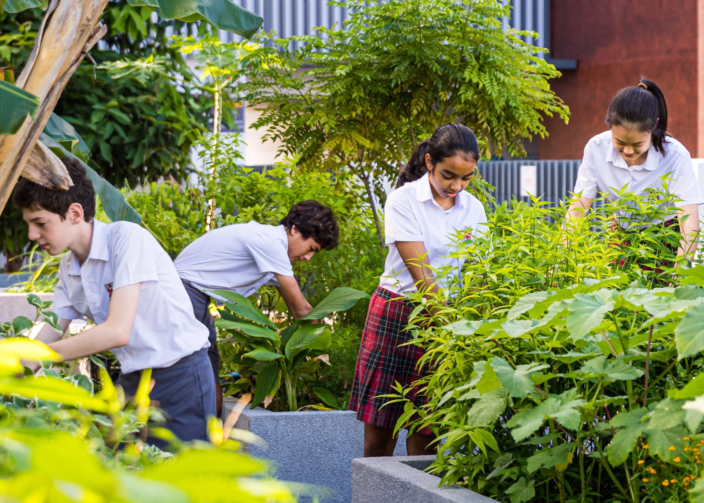 Cultivating a Greener Future: Exploring Sustainable Garden Education Programs