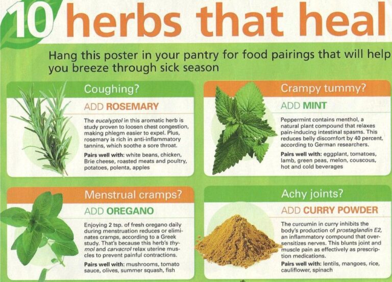 Cultivating Your Own Apothecary: A Guide to Growing Specialty Herbs for Medicinal Use