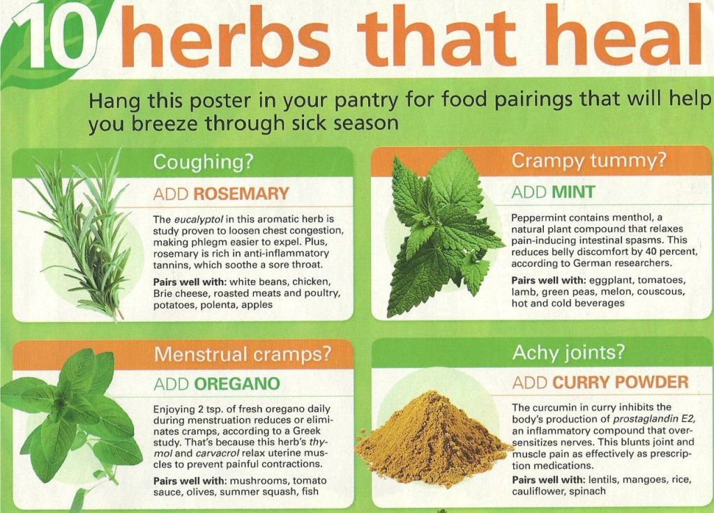 Cultivating Your Own Apothecary: A Guide to Growing Specialty Herbs for Medicinal Use