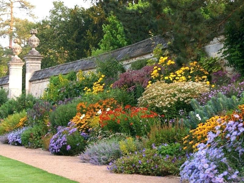 Designing a Thriving Perennial Food Garden: A Guide to Year-Round Abundance