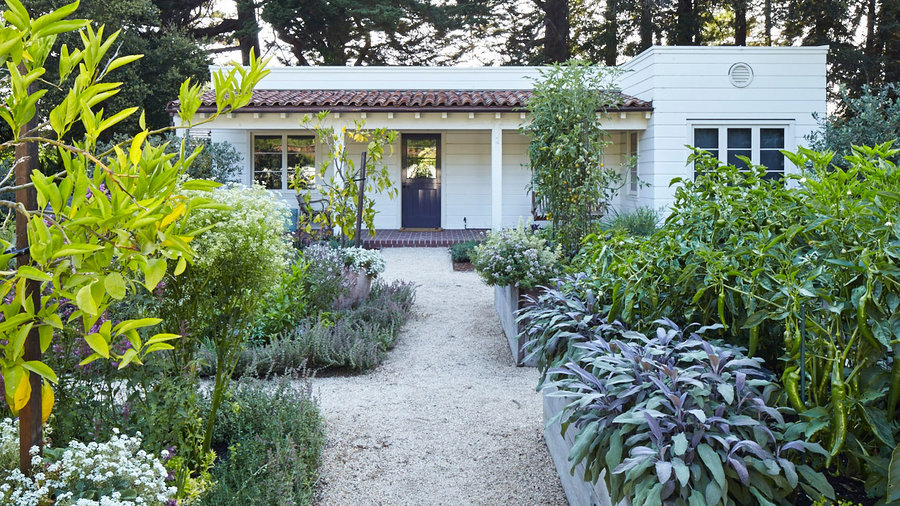 Front Yard Feast: Edible Landscaping Ideas to Transform Your Curb Appeal