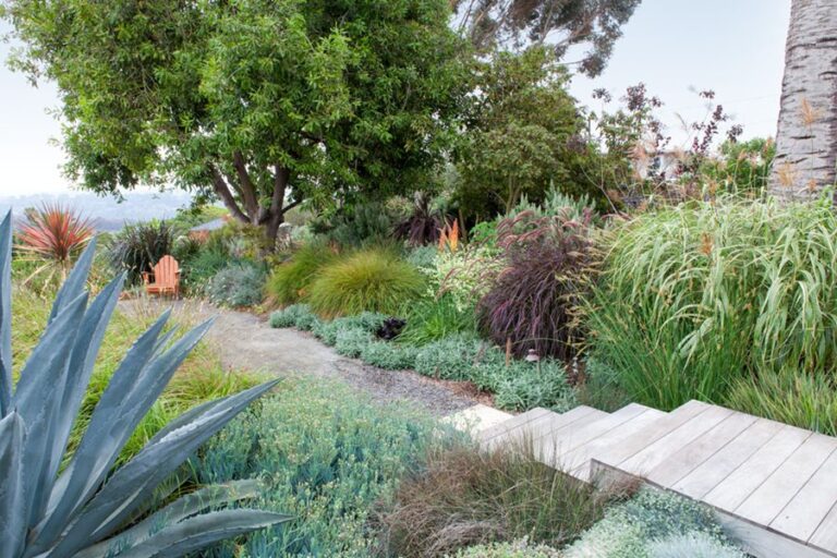 Thriving in the Dry: Unveiling Drought-Tolerant Landscaping Solutions for a Sustainable Paradise
