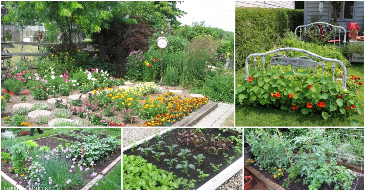 Unlocking the Green Thumb: Your Ultimate Guide to Organic Vegetable Garden Planning
