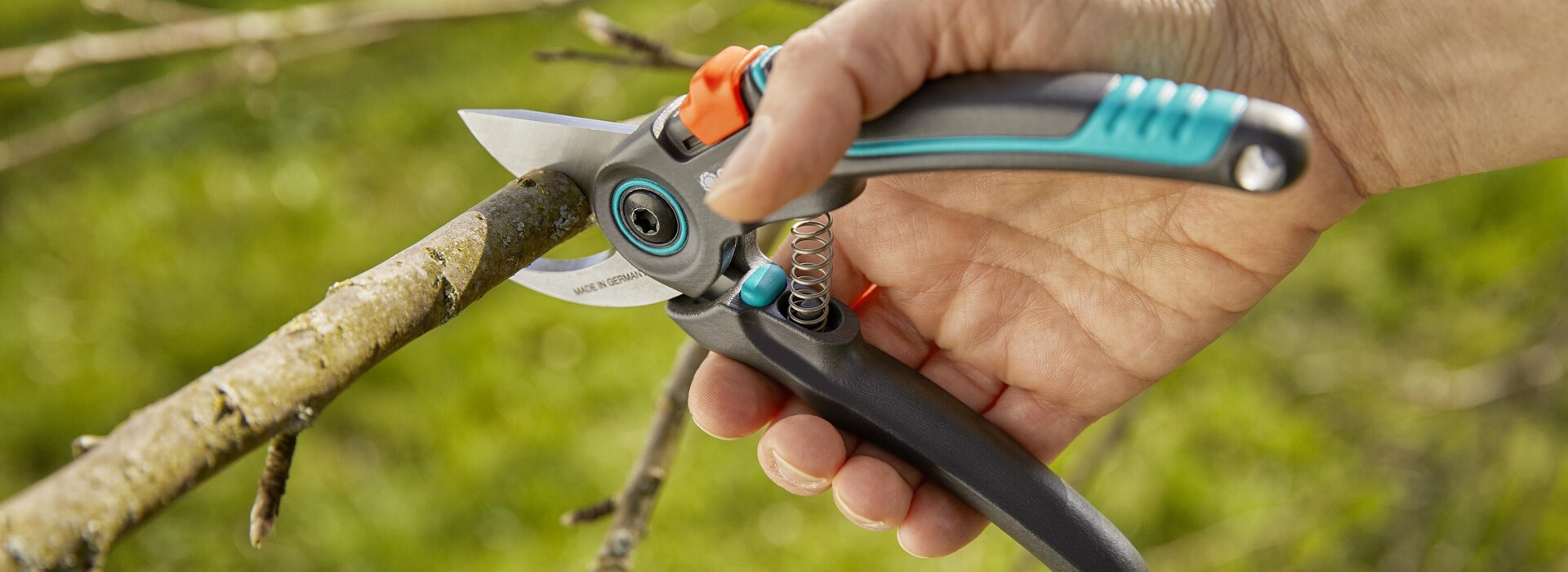 Unveiling the Secrets: A Comprehensive Guide to Specialized Garden Tools for Pruning