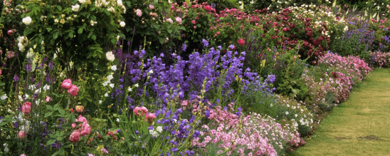 Planning a Thriving, Biodiverse Garden: A Comprehensive Guide