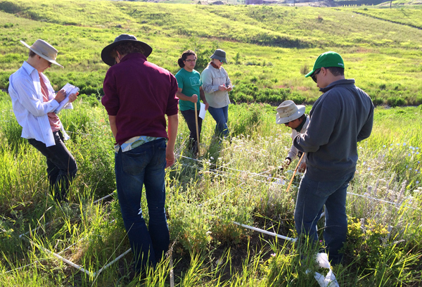 Reviving Ecosystems: A Deep Dive into Native Plant Restoration Efforts