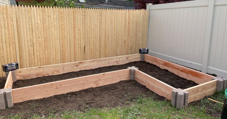 Elevate Your Garden: A Comprehensive Guide to Utilizing Raised Beds for Thriving Plants