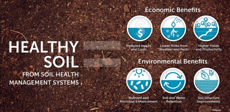 Unlocking the Secrets of Soil: Strategies for Dramatic Health Improvement and a Thriving Ecosystem