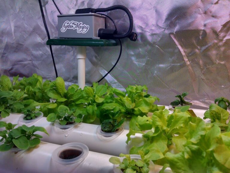 Cultivating Precision: A Deep Dive into Implementing Smart Hydroponic Controls
