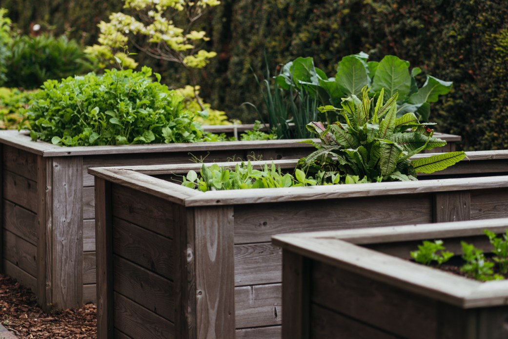 Thriving Above the Clouds: A Comprehensive Guide to Choosing Plants for Your High-Altitude Garden