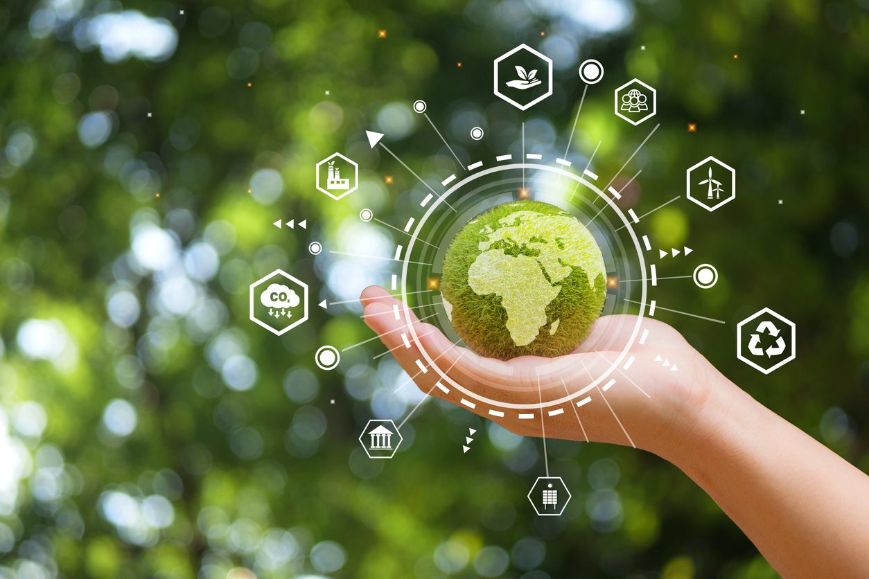 Cultivating a Greener Future: Crafting Effective Sustainable Garden Education Curricula