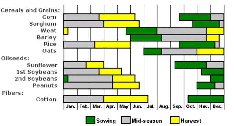 The Ultimate Planting Calendar Guide: Timing Your Garden for Bountiful Harvests Across the US