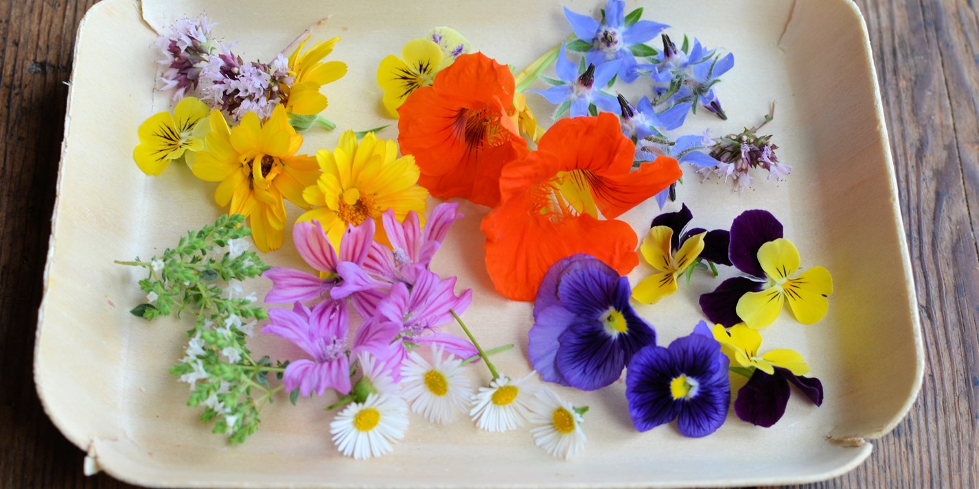 Bloom & Bite: Your Ultimate Guide to Growing and Enjoying Uncommon Edible Flowers