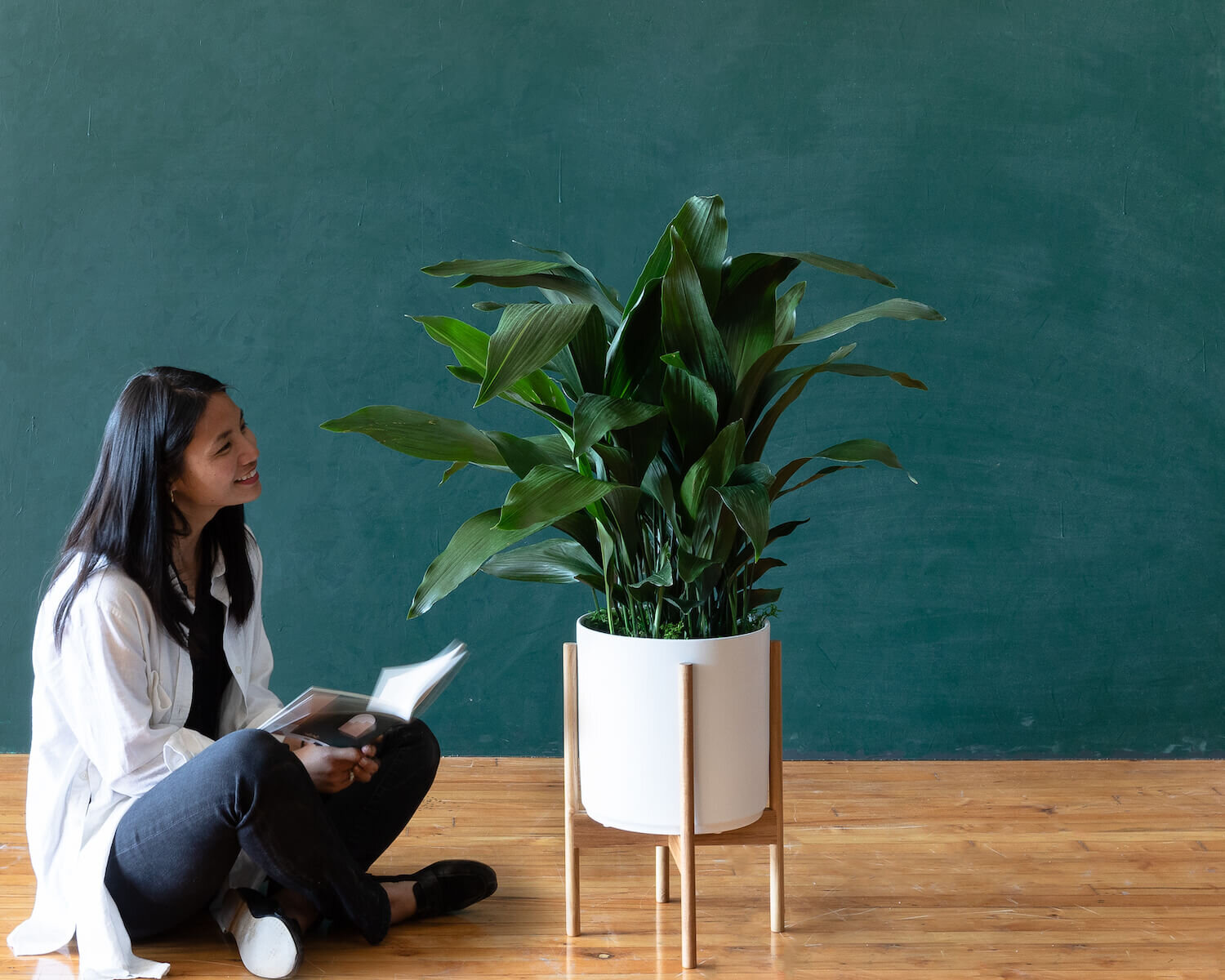 Small Space Oasis: Your Guide to Thriving Plants in Limited Areas