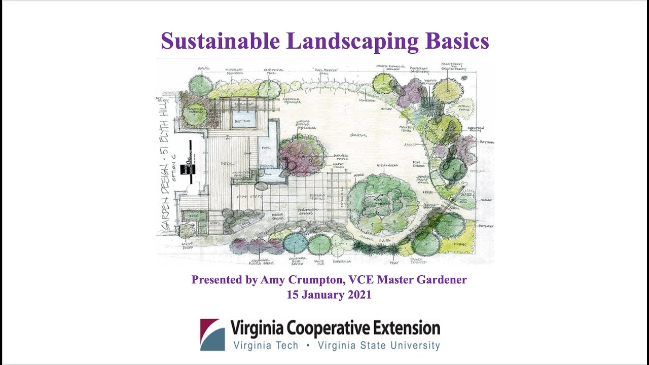 Choosing Green: A Guide to Sustainable Landscaping Material Selection