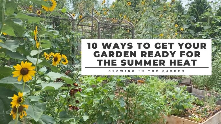 Thriving Gardens Under the Sun: Essential Gardening Tips for Hot Climates