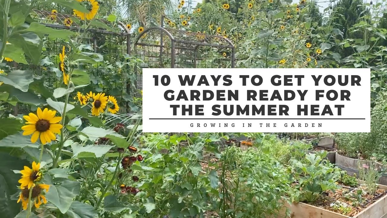 Thriving Gardens Under the Sun: Essential Gardening Tips for Hot Climates