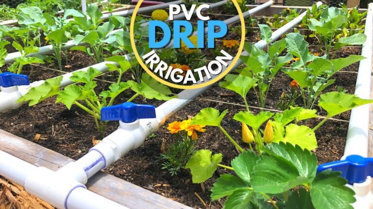 DIY Garden Irrigation Systems: Your Ultimate Guide to Thriving Gardens