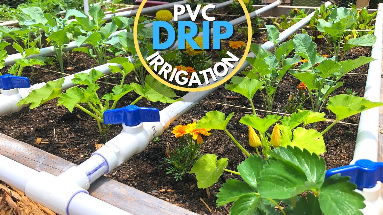 DIY Garden Irrigation Systems: Your Ultimate Guide to Thriving Gardens