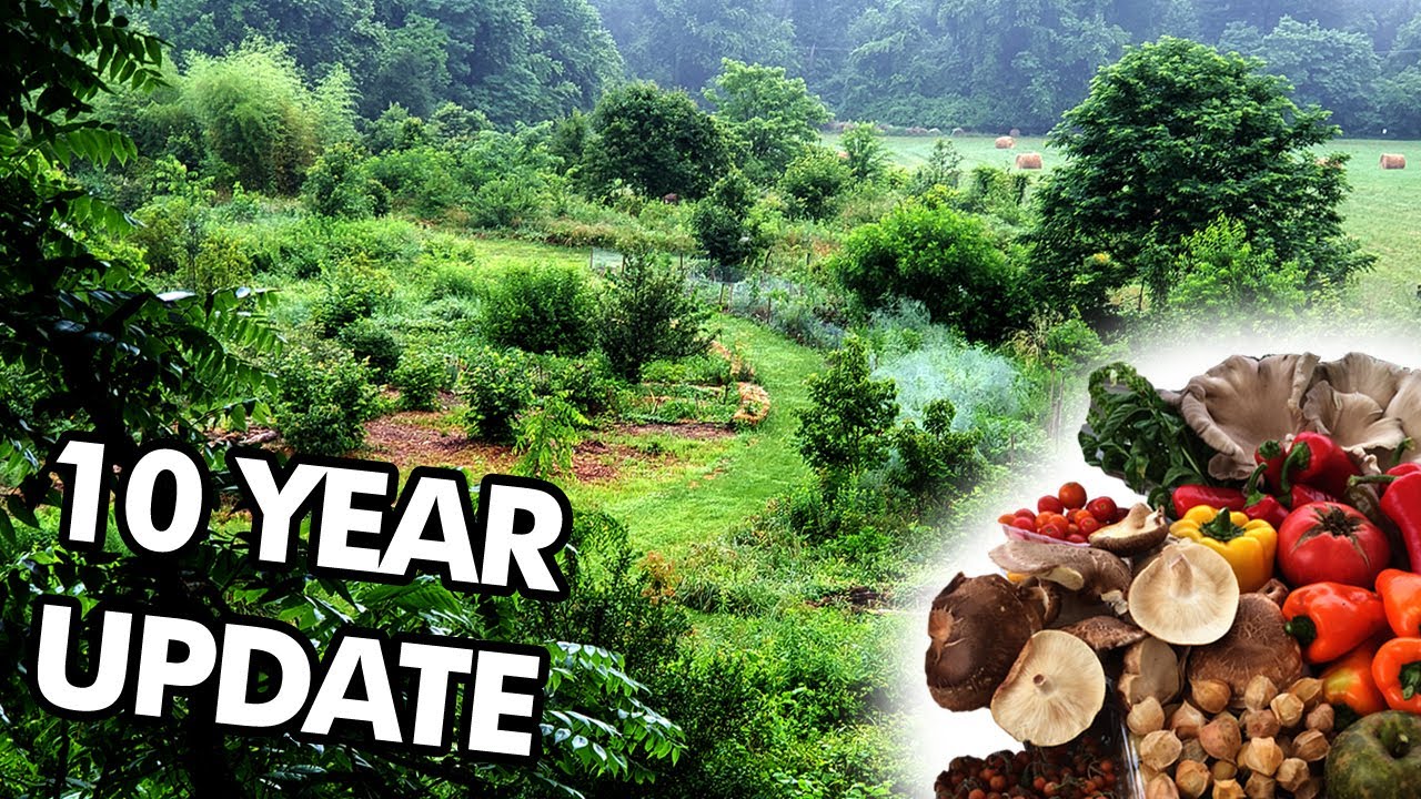 Designing Your Dream Edible Forest Garden: Principles for Abundance and Biodiversity