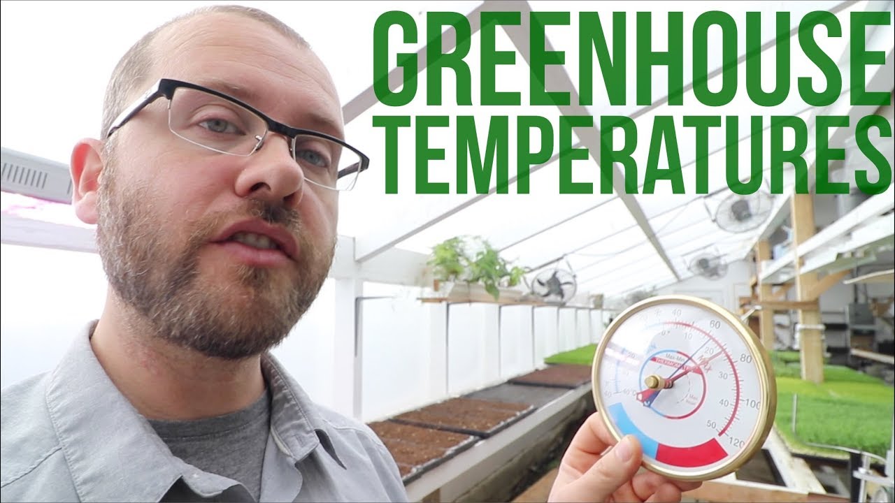 Mastering Greenhouse Planting: A Comprehensive Guide to Temperature Control for Thriving Plants