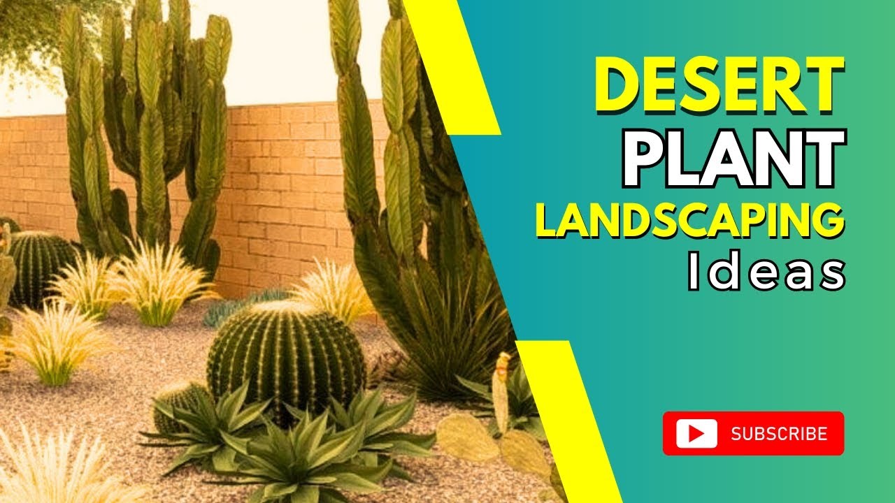 Thriving Oasis: Mastering Sustainable Landscaping for Arid Regions