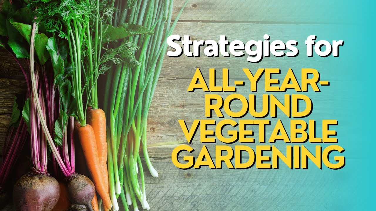 Cultivating Abundance: Your Comprehensive Guide to Year-Round Vegetable Gardening