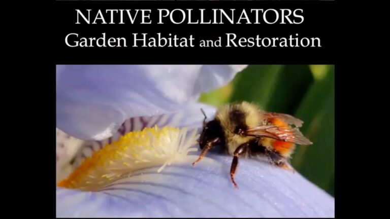 Boost Your Harvest: A Comprehensive Guide to Attracting Native Pollinators for Fruit Production