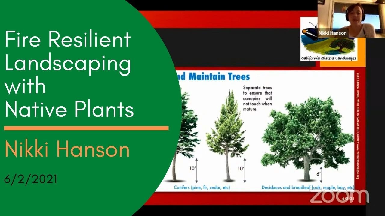 Creating Fire-Resilient Landscapes: Choosing the Right Plants for a Safer Home