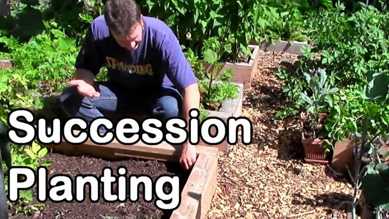 Succession Planting: Your Ultimate Guide to a Perpetual Harvest
