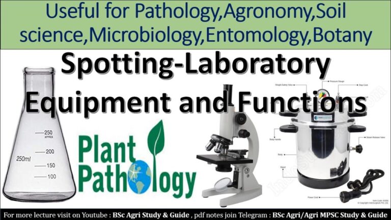 Unveiling the Secrets of Plant Pathology: A Comprehensive Guide to Understanding Plant Diseases
