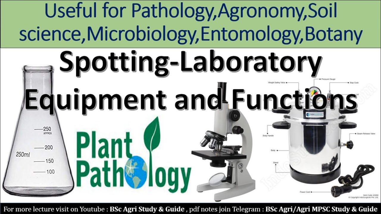 Unveiling the Secrets of Plant Pathology: A Comprehensive Guide to Understanding Plant Diseases