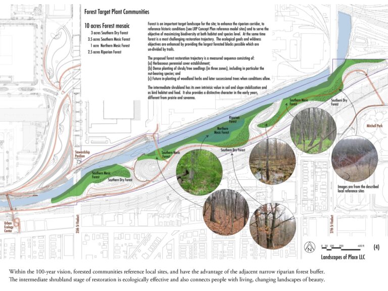 Creating Thriving Wildlife Corridors with Native Plants: A Guide to Connecting Habitats
