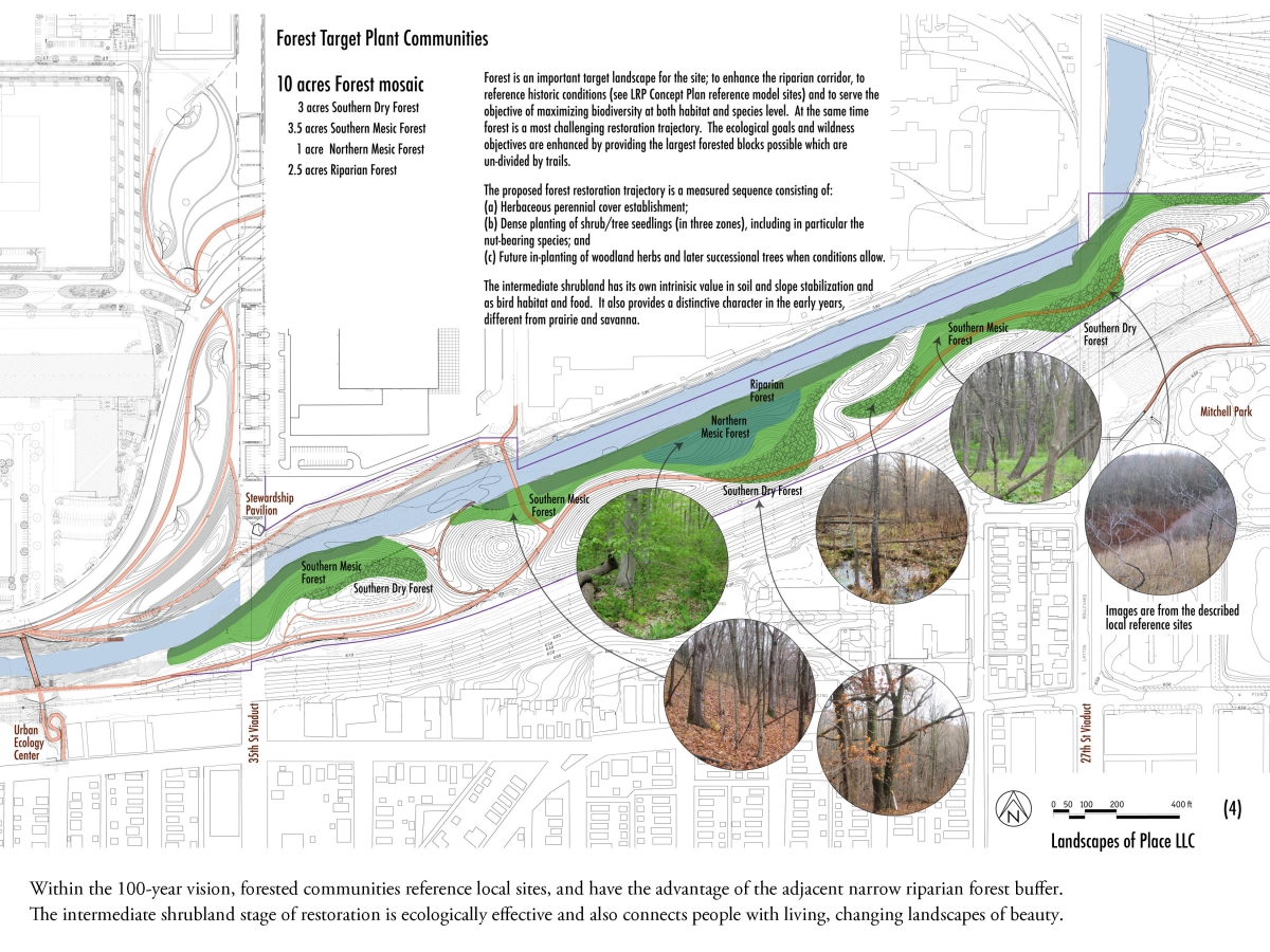Creating Thriving Wildlife Corridors with Native Plants: A Guide to Connecting Habitats