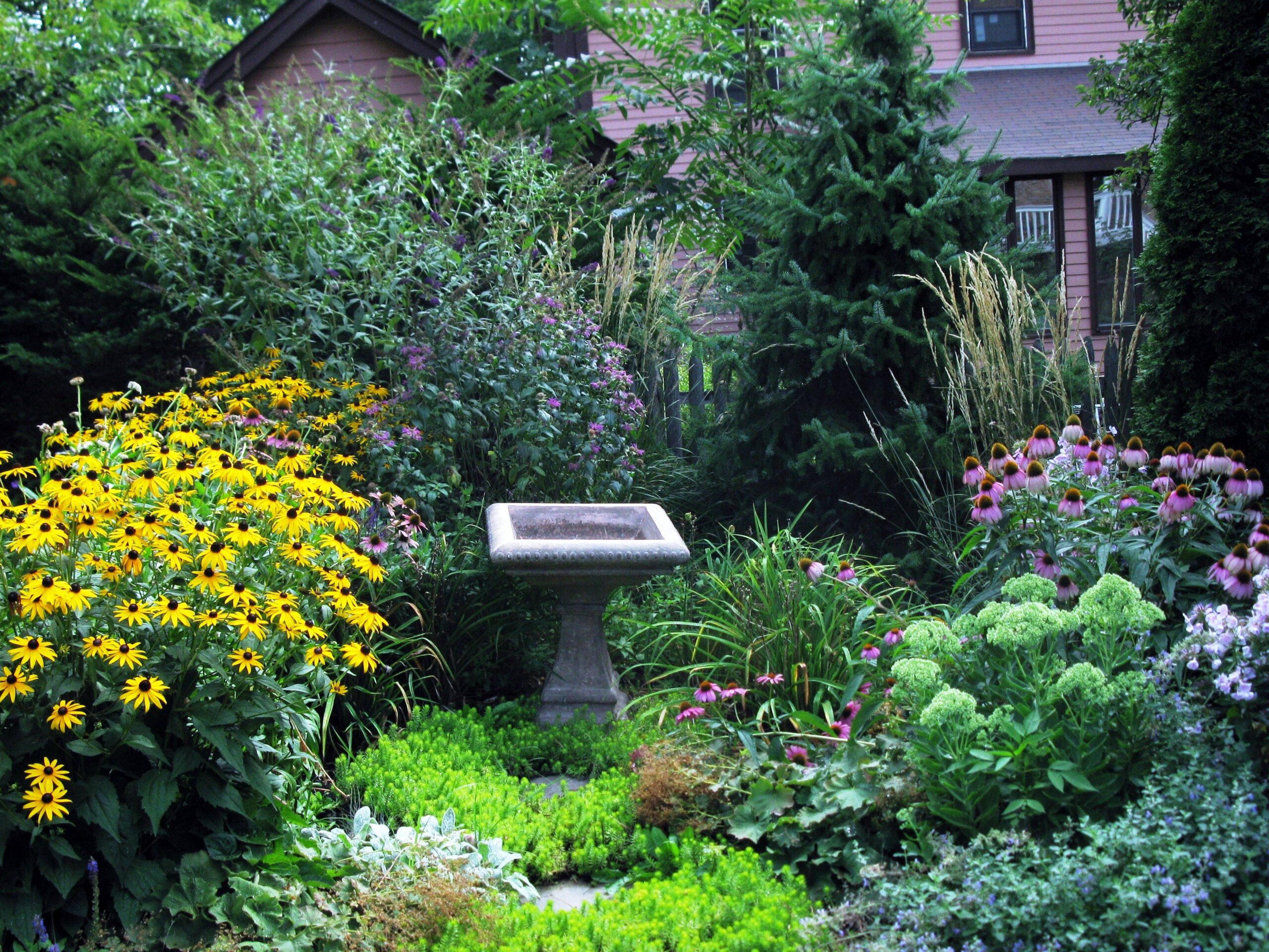 Designing Your Dream Perennial Herb Garden: A Comprehensive Guide