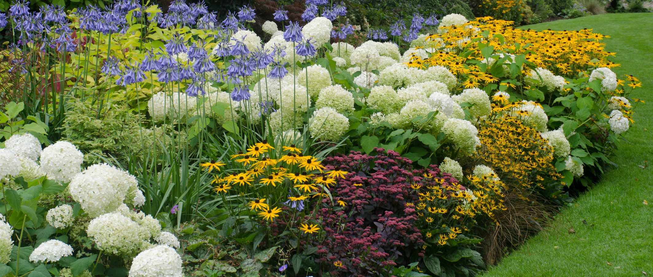 Blooming Beauties: Your Ultimate Guide to Choosing Plants for Breathtaking Large Garden Beds