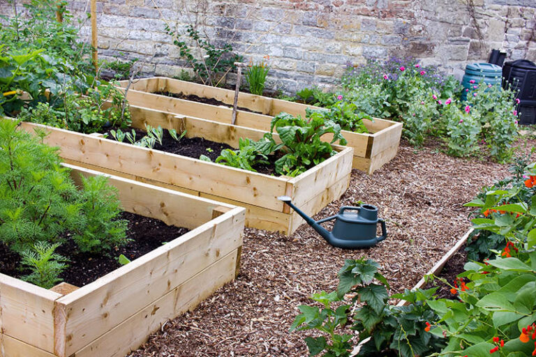 Build Your Dream Garden: Comprehensive Raised Garden Bed Construction Plans for Beginners to Experts